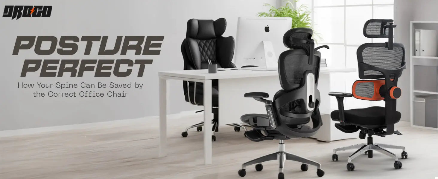 Posture Perfect: How Your Spine Can Be Saved by the Correct Office Chair Drogo India