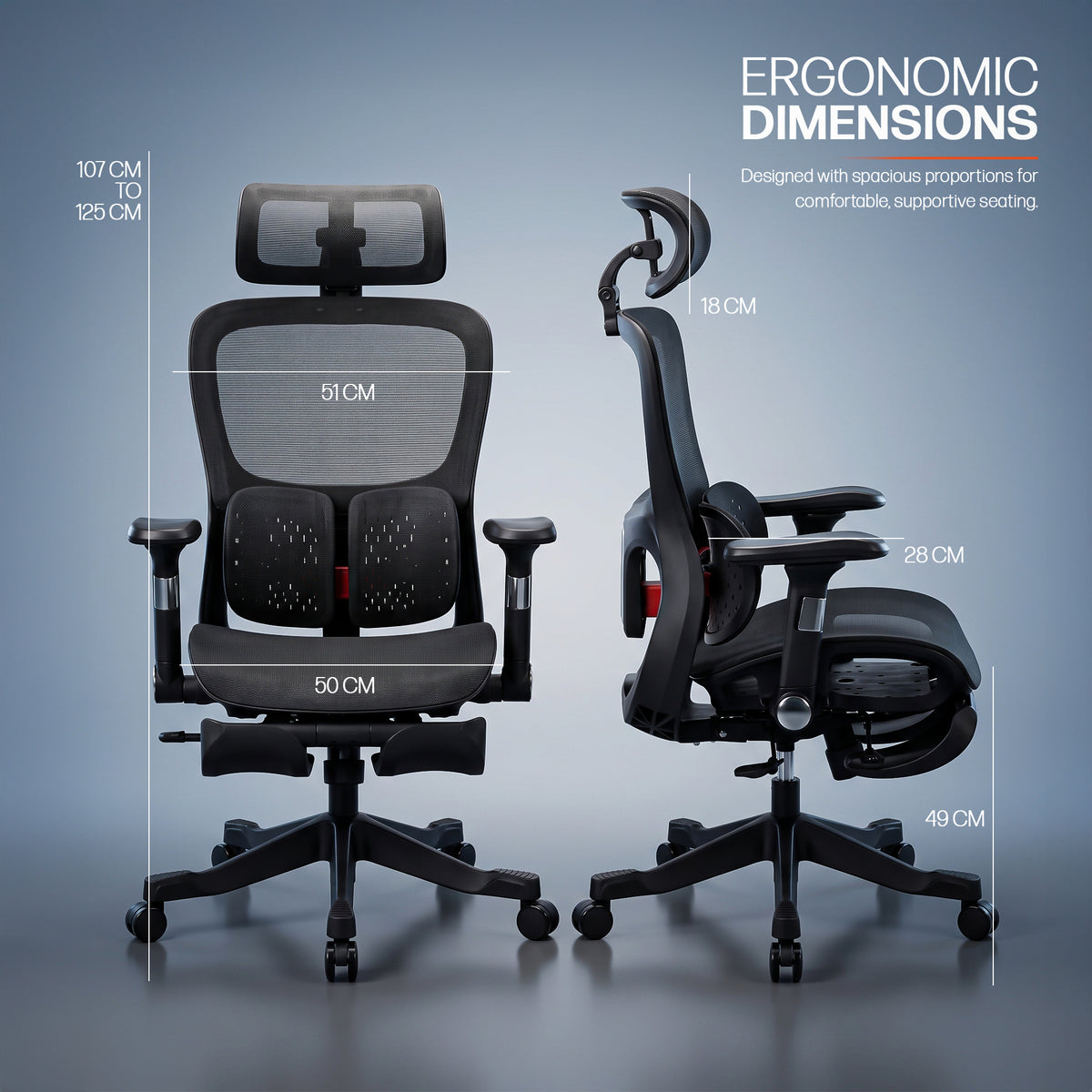 Drogo Axion Ergonomic Office Chair Lumbar Support & Mesh Back Chair