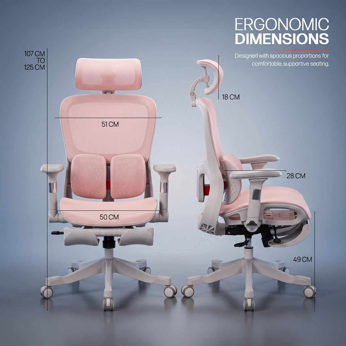 Drogo Axion Ergonomic Office Chair Lumbar Support & Mesh Back Chair
