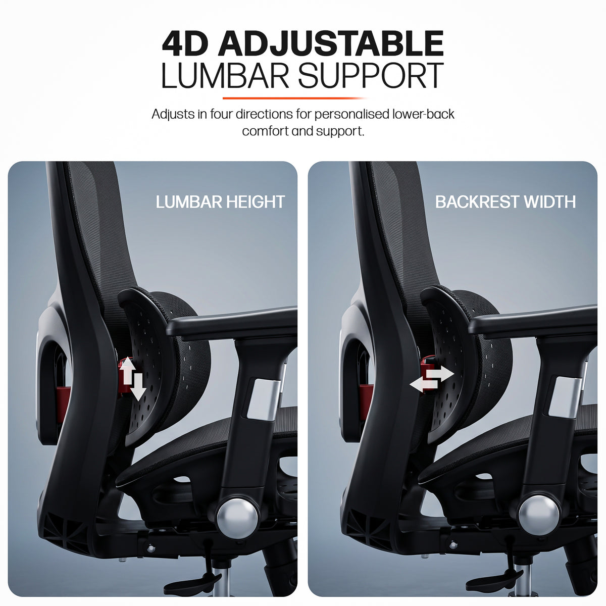 Drogo Axion Ergonomic Office Chair Lumbar Support & Mesh Back Chair