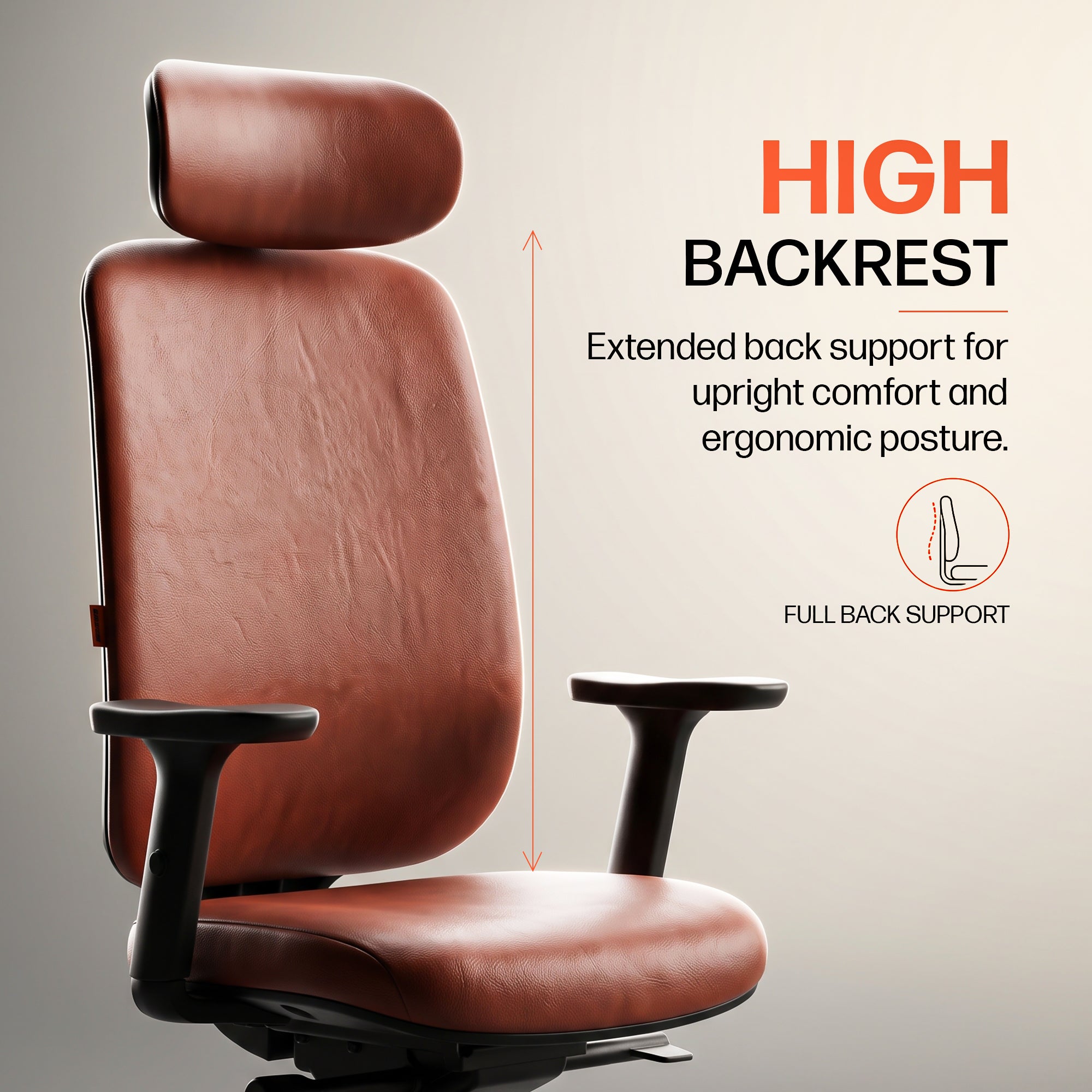 Drogo Pluto Ergonomic Office Chair with 2D Adjustable Headrest