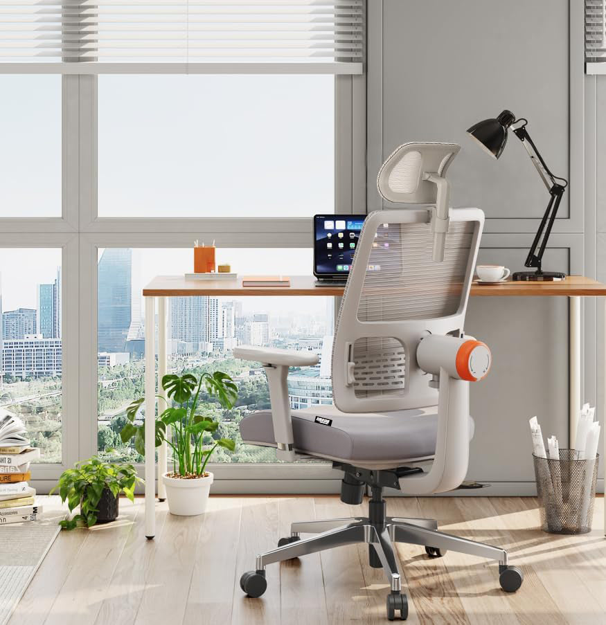 Drogo PosturePro Office Chair for Work from Home, High Back Chair with Adaptive Lumbar Support