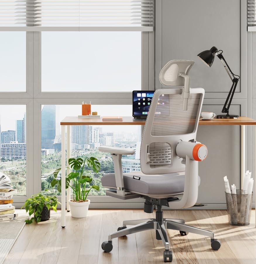 Drogo Bold PosturePro Ergonomic Office Chair for Work from Home