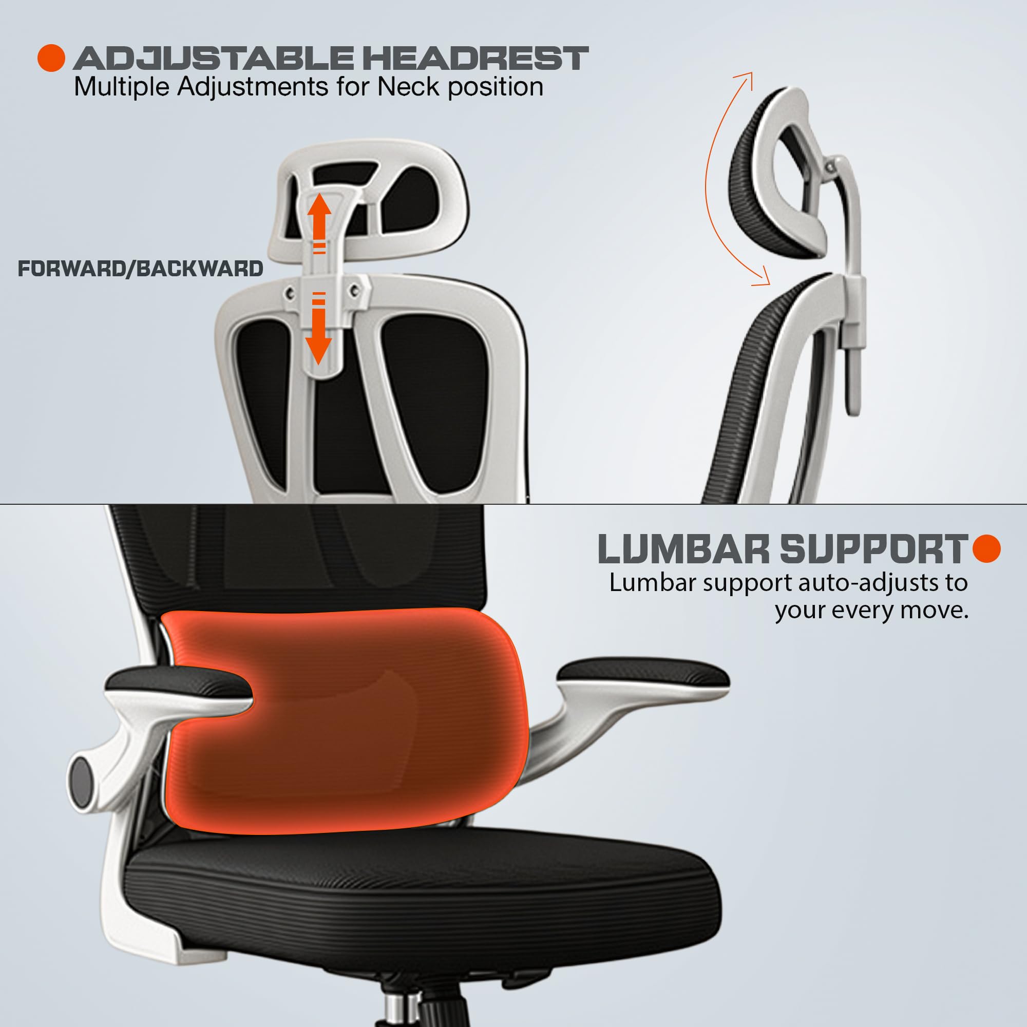 Drogo Ergonomic Office Chair for Work from Home, Desk Chair