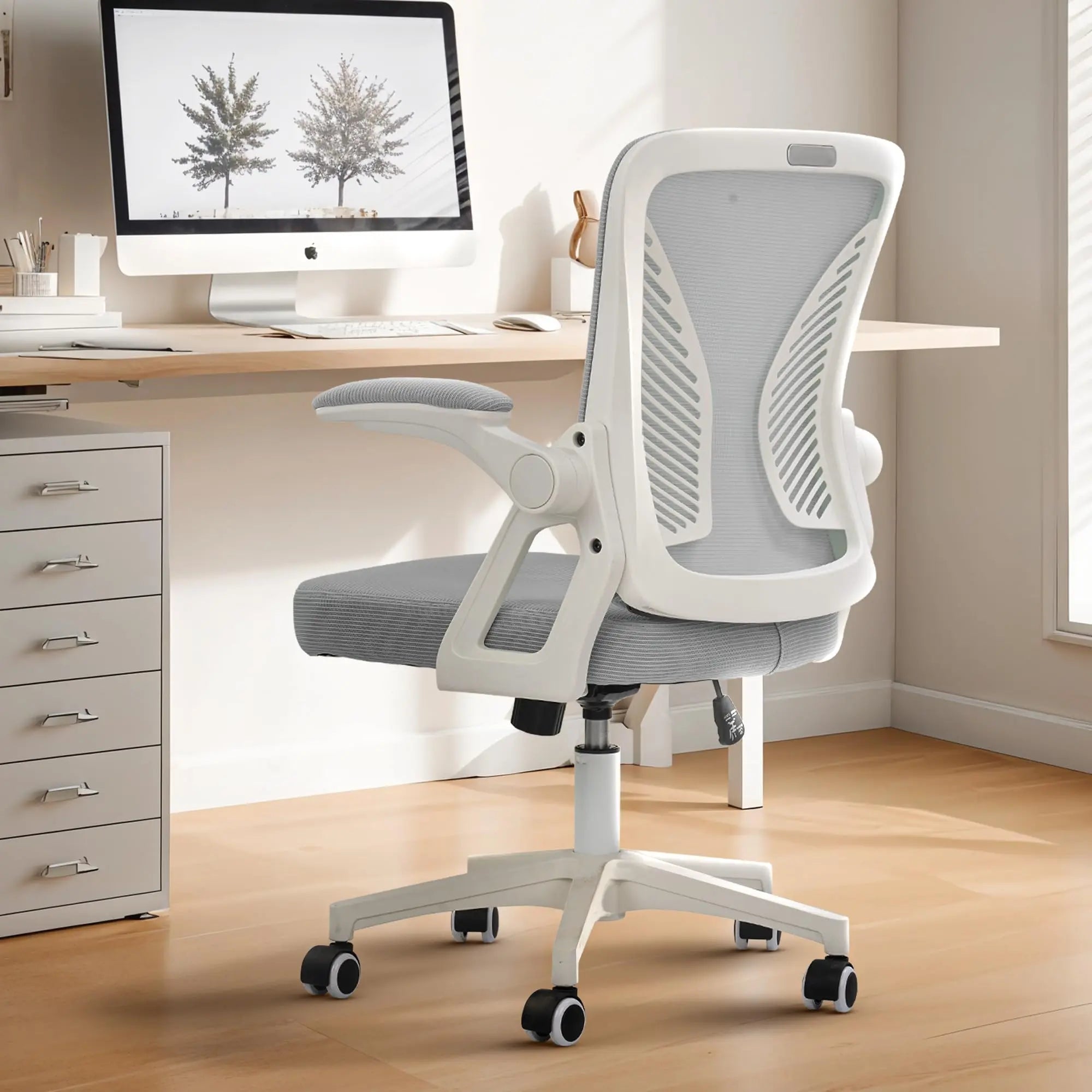 Drogo DynamicWing Ergonomic Computer Chair for Work from Home Galaxy Incorporation