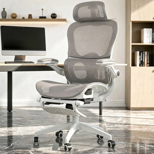 Drogo Quantum Ergonomic Computer Office Chair Drogo India