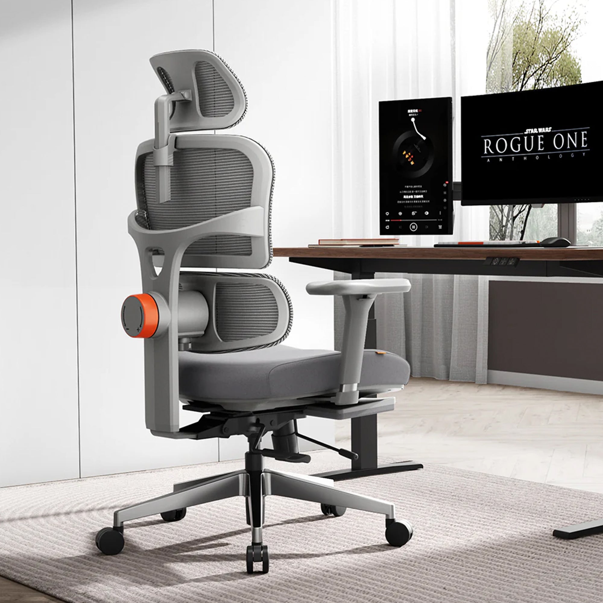 Drogo SitSmart Ergonomic Office Chair for Work from Home