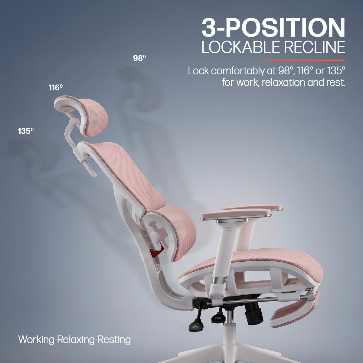 Drogo Axion Ergonomic Office Chair Lumbar Support & Mesh Back Chair