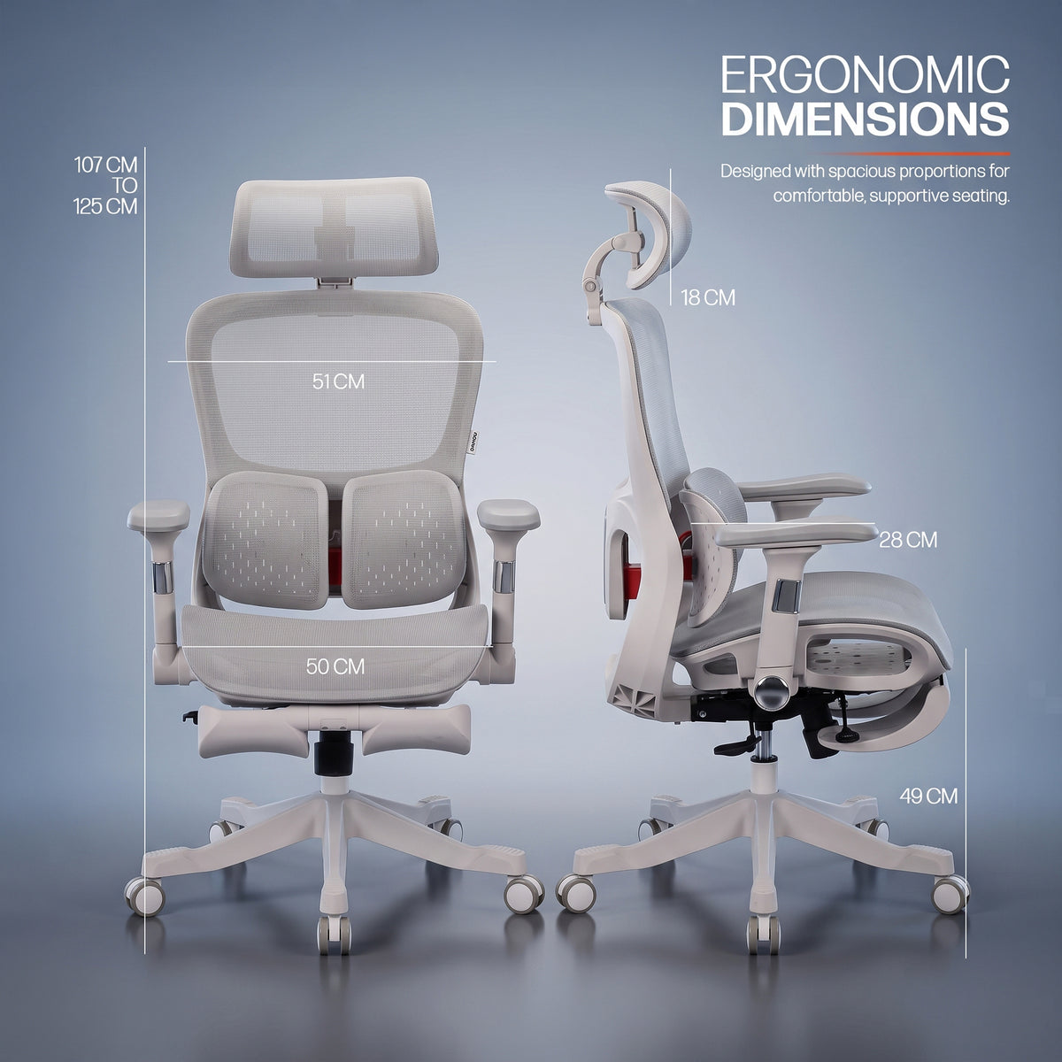 Drogo Axion Ergonomic Office Chair Lumbar Support & Mesh Back Chair