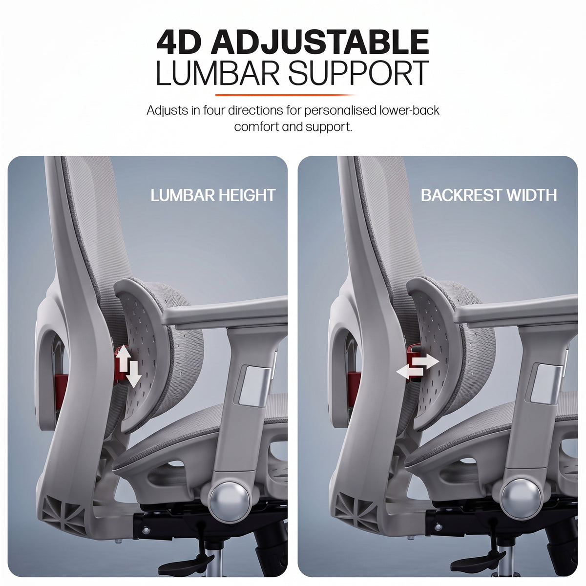 Drogo Axion Ergonomic Office Chair Lumbar Support & Mesh Back Chair