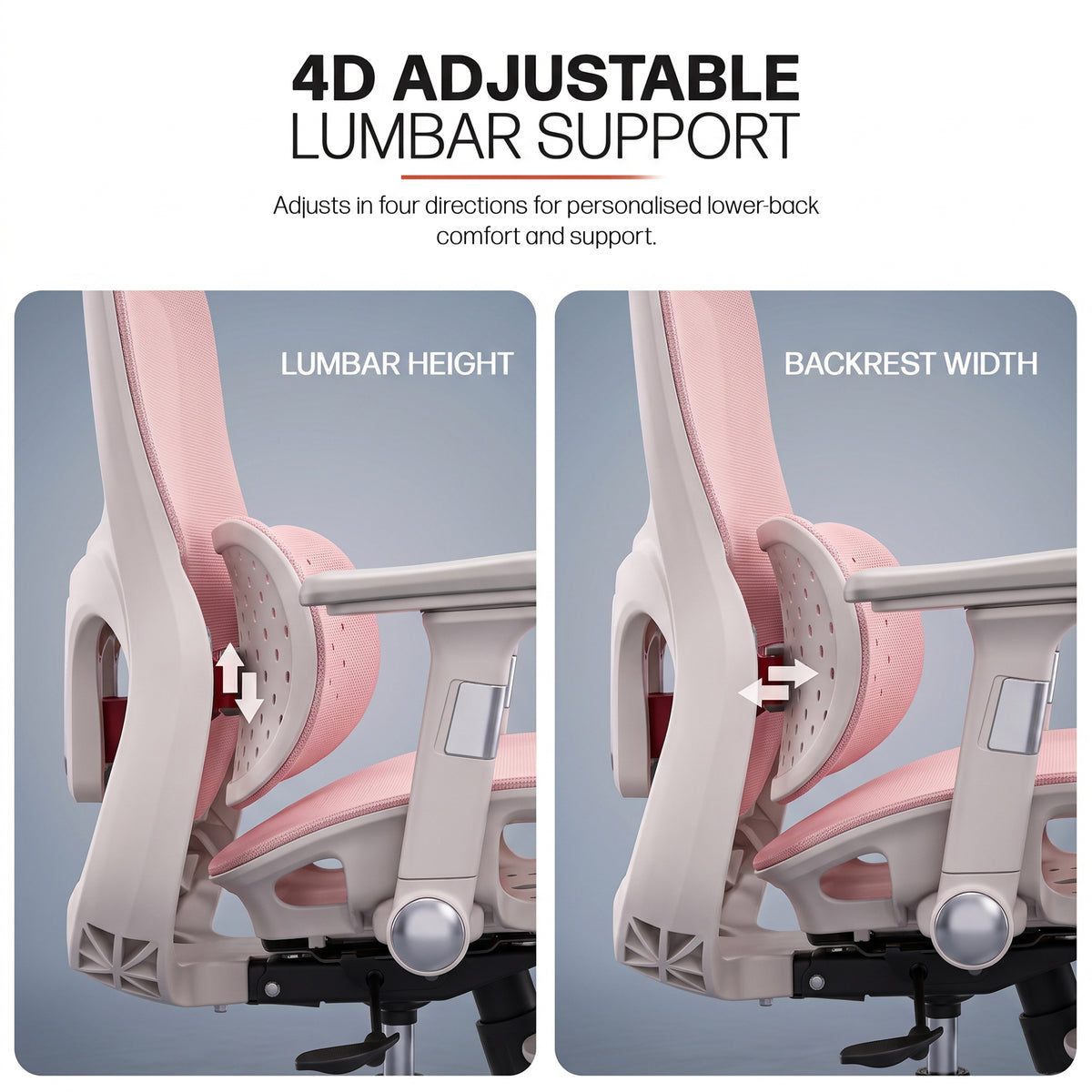 Drogo Axion Ergonomic Office Chair Lumbar Support & Mesh Back Chair