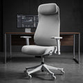 Premium Office Chair
