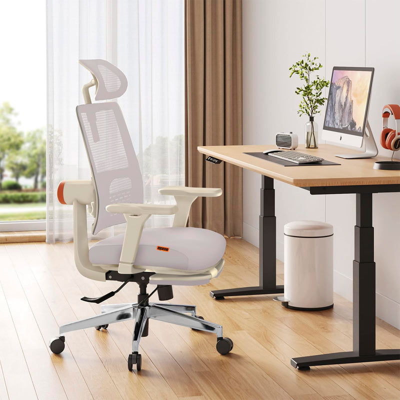 Drogo Ergonomic Bold Posture Office Chair for Work from Home, High Back ...