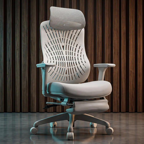 Ergonomic Office Chair Work for Home