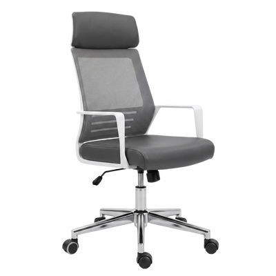 Drogo Lumina Pro Ergonomic Premium Office Chair for Work at Home