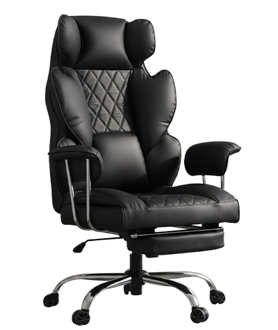 Drogo Monarch Premium Ergonomic Office Chair